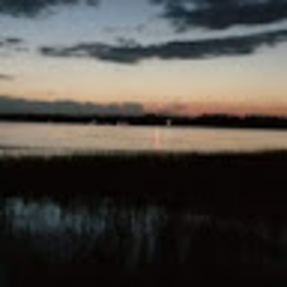 rayvendenver01
